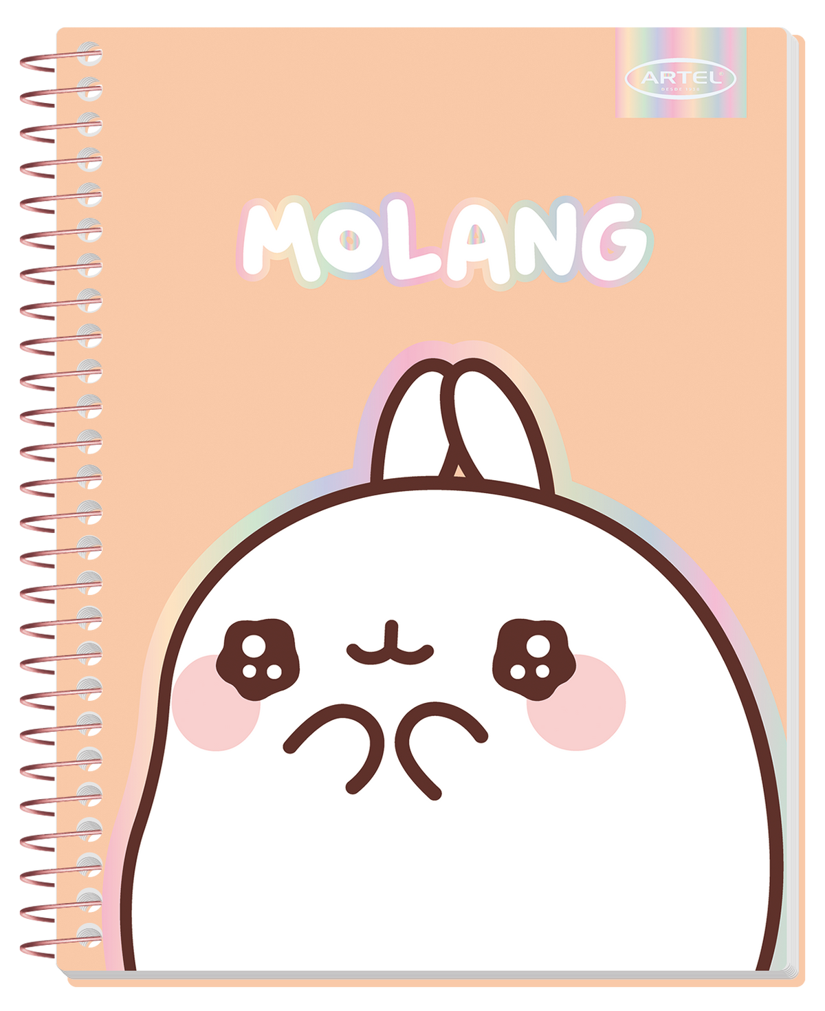 Cuaderno Especial Artel 150 Hojas Molang 7Mm
