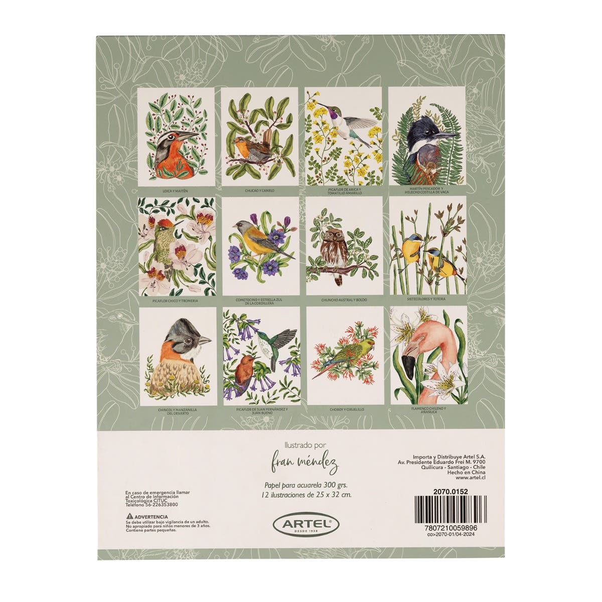 Block para colorear Aves y Flora Chilena