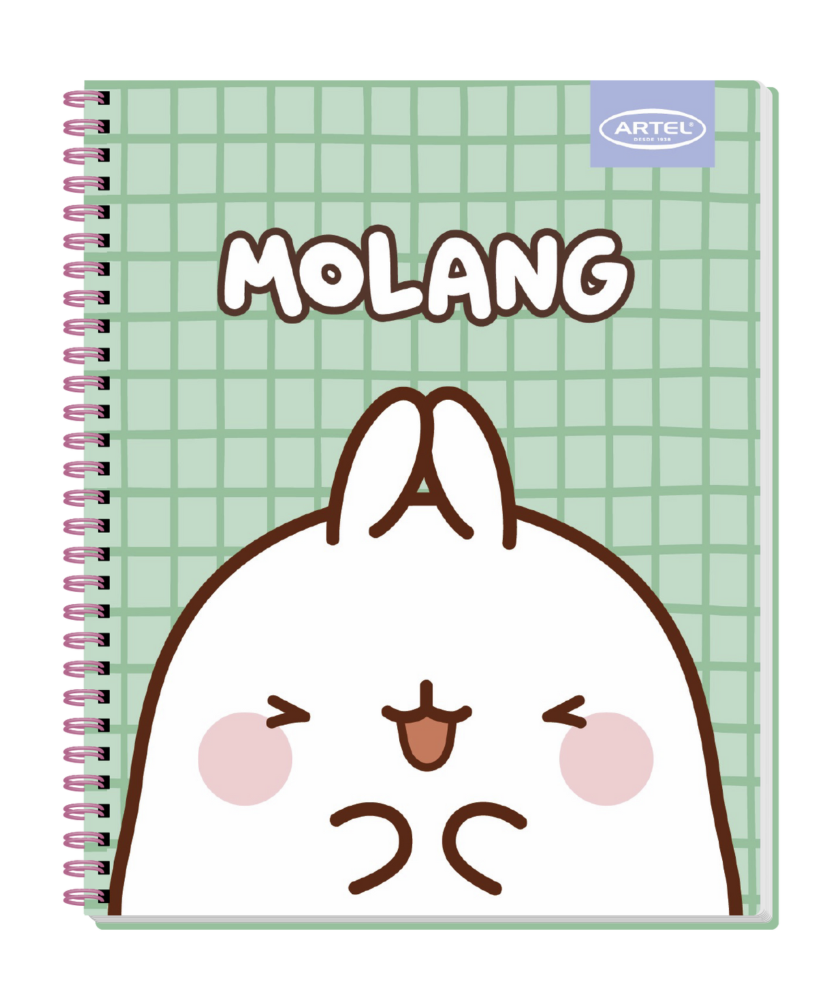 Cuaderno Universitario Artel 100 Hojas 7 Mm Molang