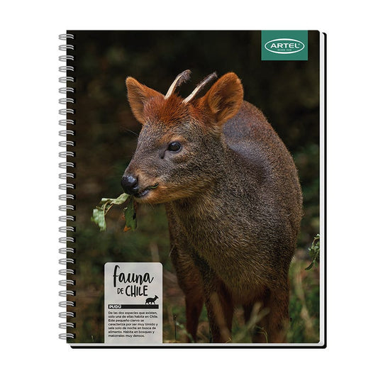 Cuaderno Universitario 100 Hojas 7mm Animales De Chile