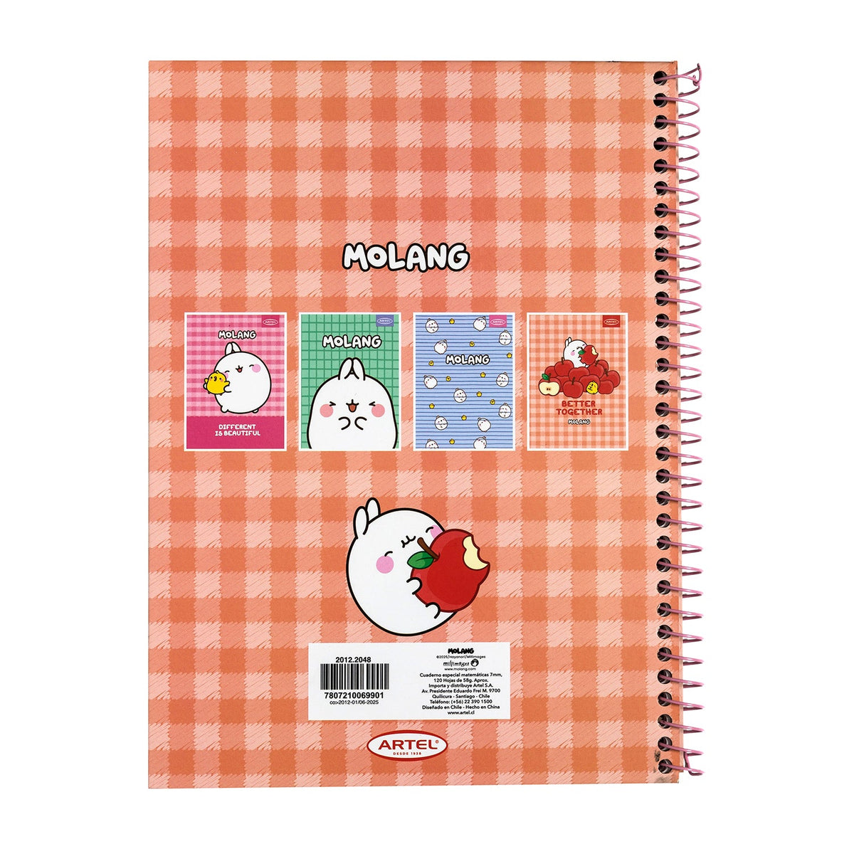 Cuaderno Especial Artel 120 Hojas 7 Mm Molang