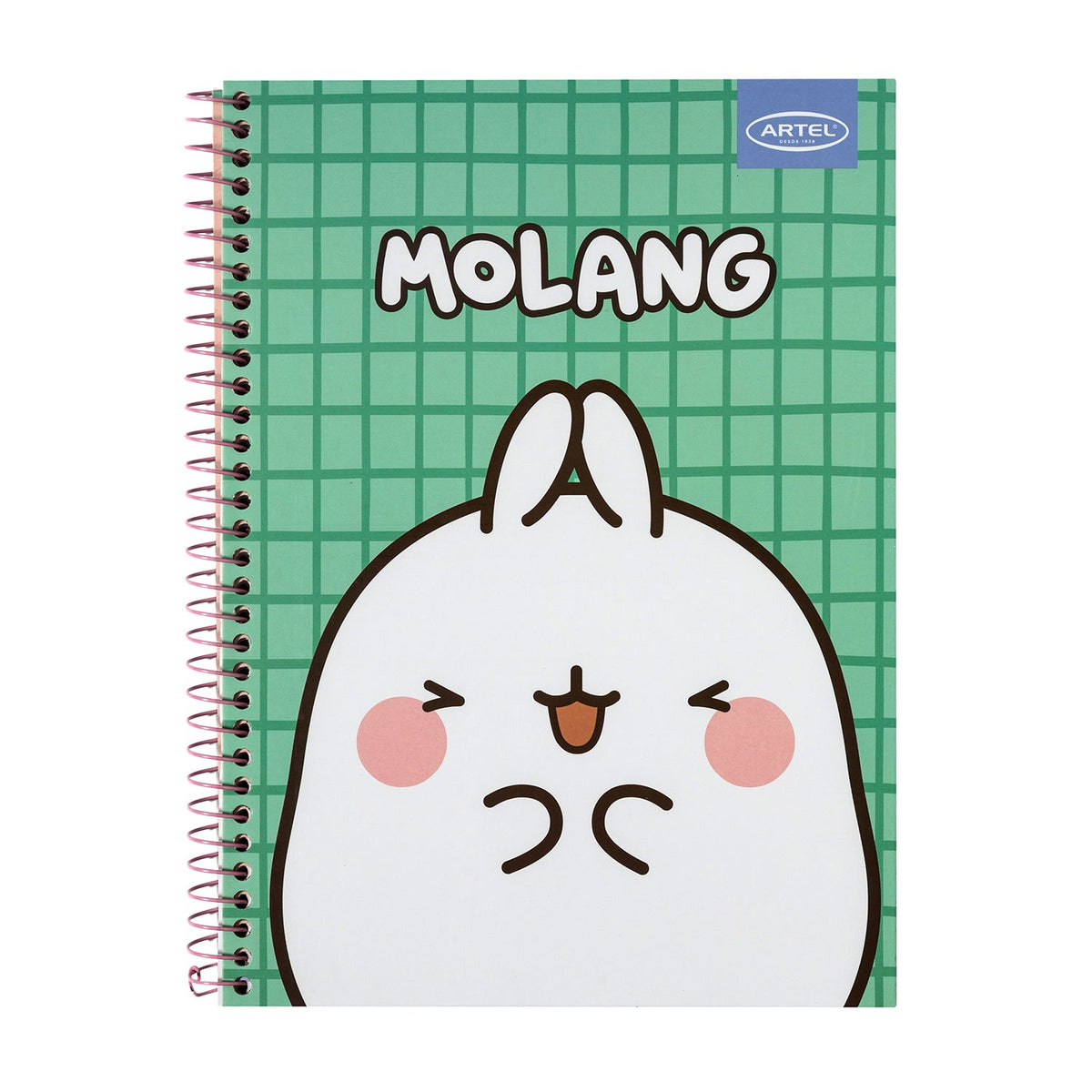 Cuaderno Especial Artel 120 Hojas 7 Mm Molang