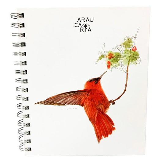 Cuad. 17,5x21cm Pic. Juan Fer. Araucaria