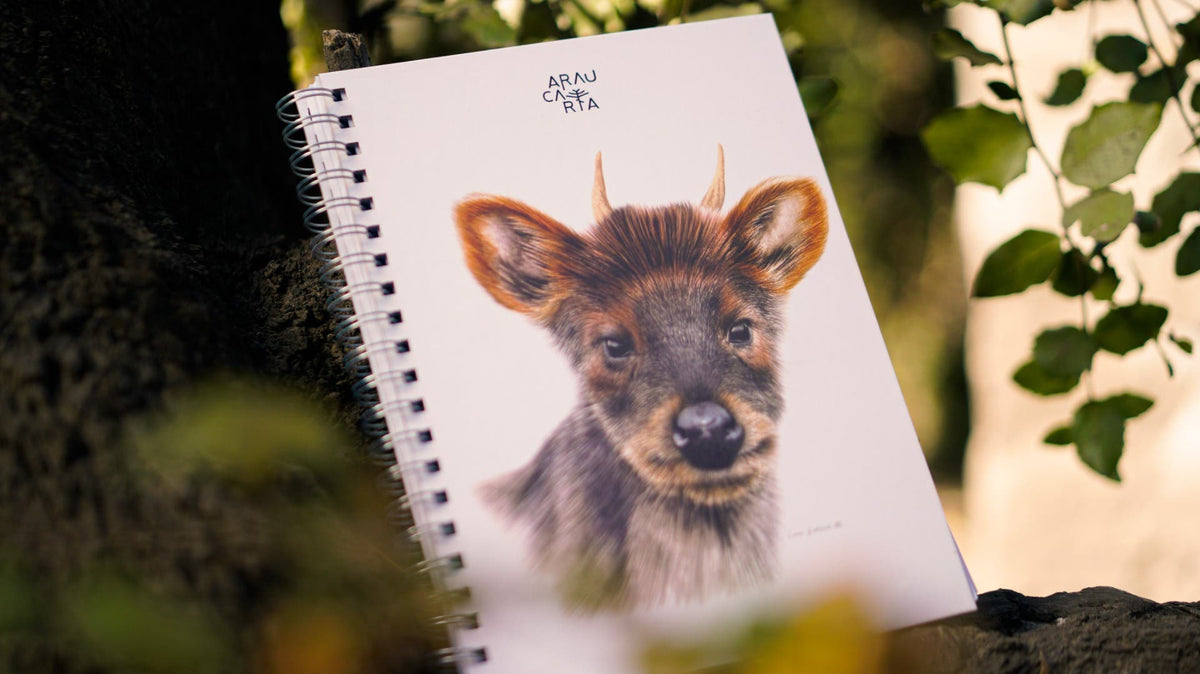 Cuad. Esp. 20x27,5cm Pudú Araucaria