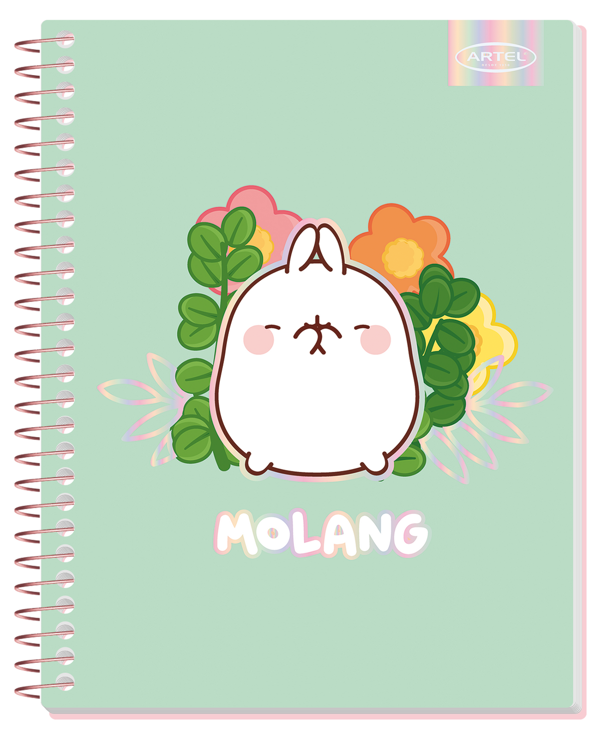 Cuaderno Especial Artel 150 Hojas Molang 7Mm