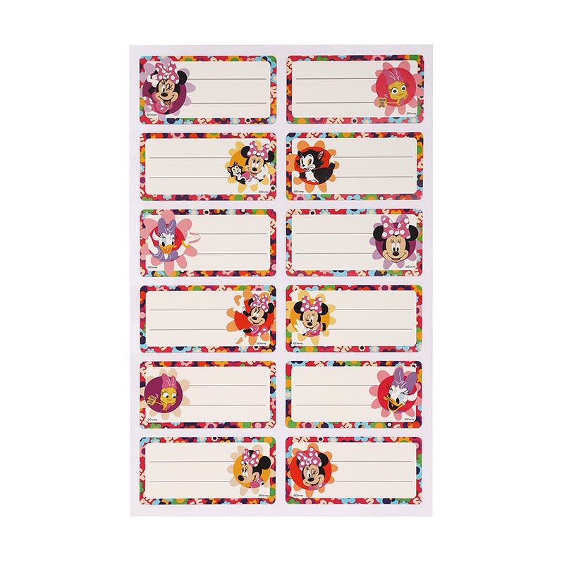 Set 12 Etiquetas Nombre 35x70mm Minnie