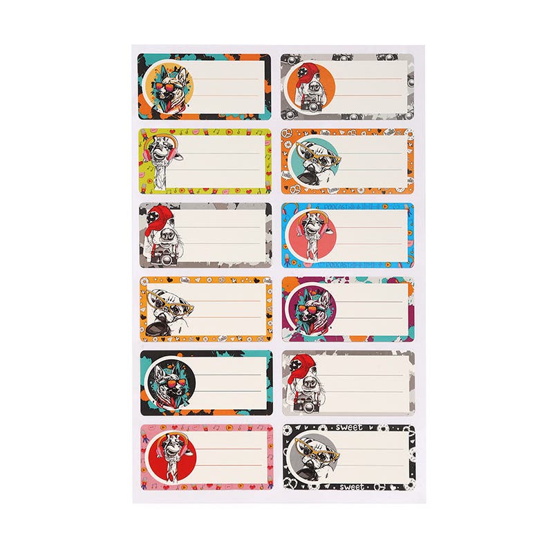Set 12 Etiquetas Nombre 35x70mm Surtido Niño