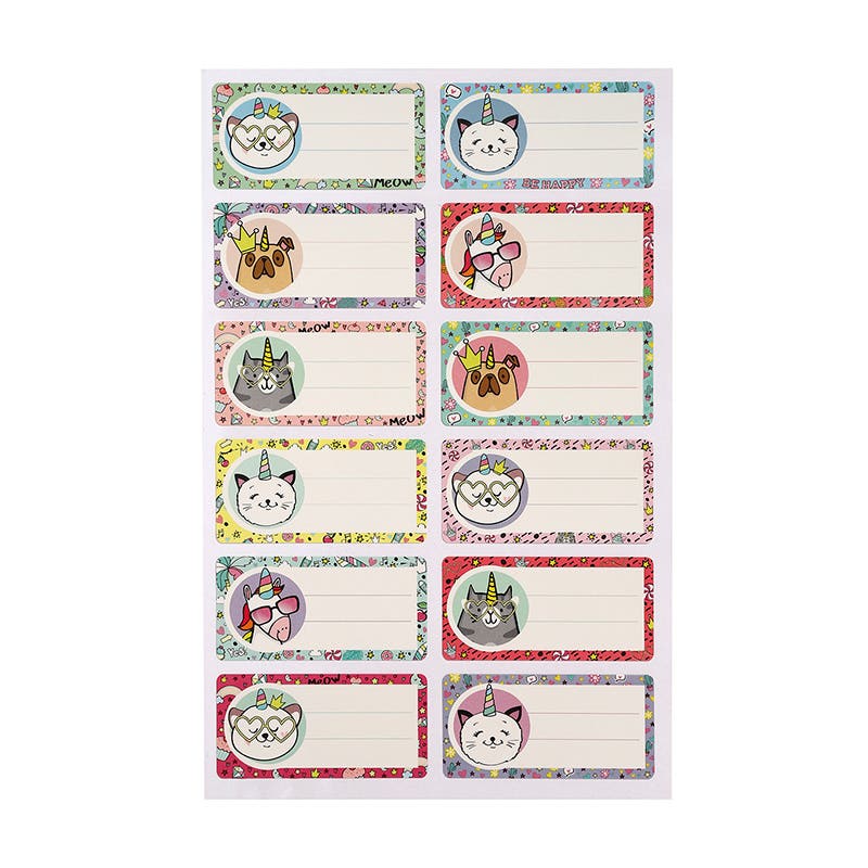 Set 12 Etiquetas Nombre 35x70mm Surtido Niña