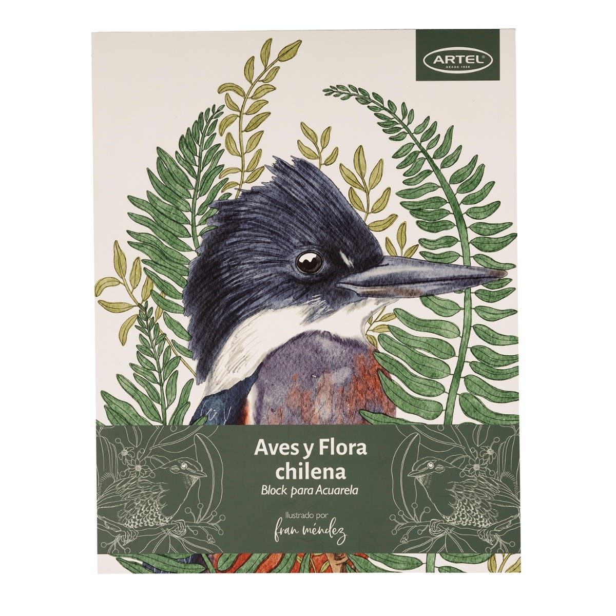 Block para colorear Aves y Flora Chilena