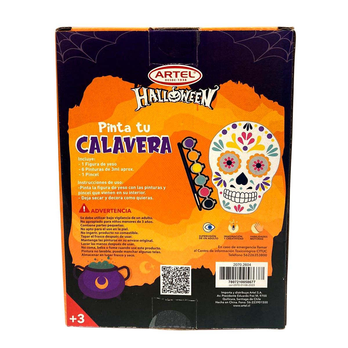 Figura yeso calavera + pinturas