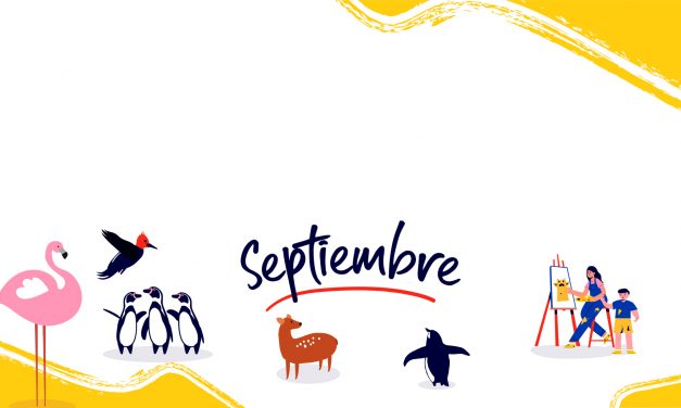 Concurso Septiembre: Animales de Chile