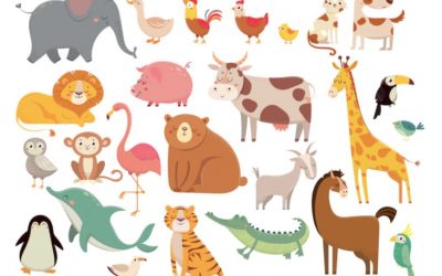 Guía para crear material educativo de los animales
